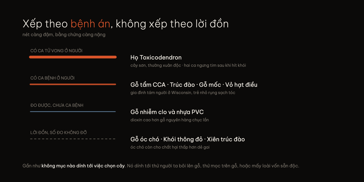 Gỗ cấm xếp theo mức bằng chứng, từ có ca tử vong xuống tới lời đồn