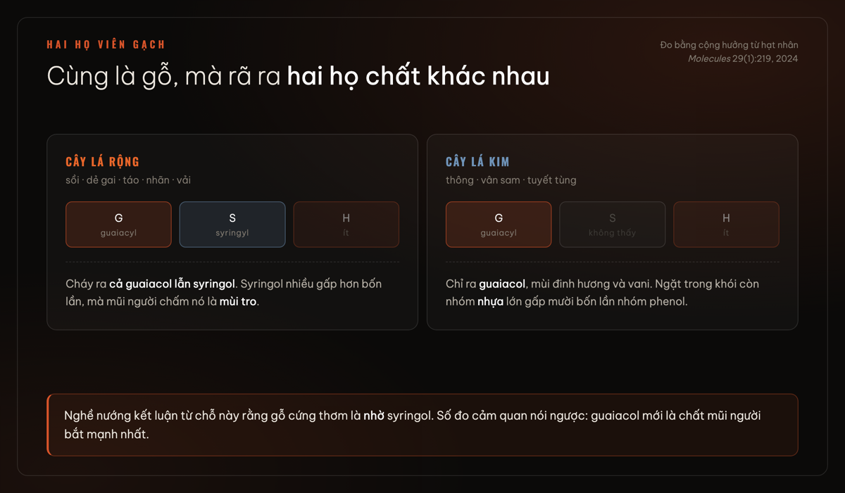 Hai họ viên gạch lignin và hai họ chất chúng rã ra khi cháy
