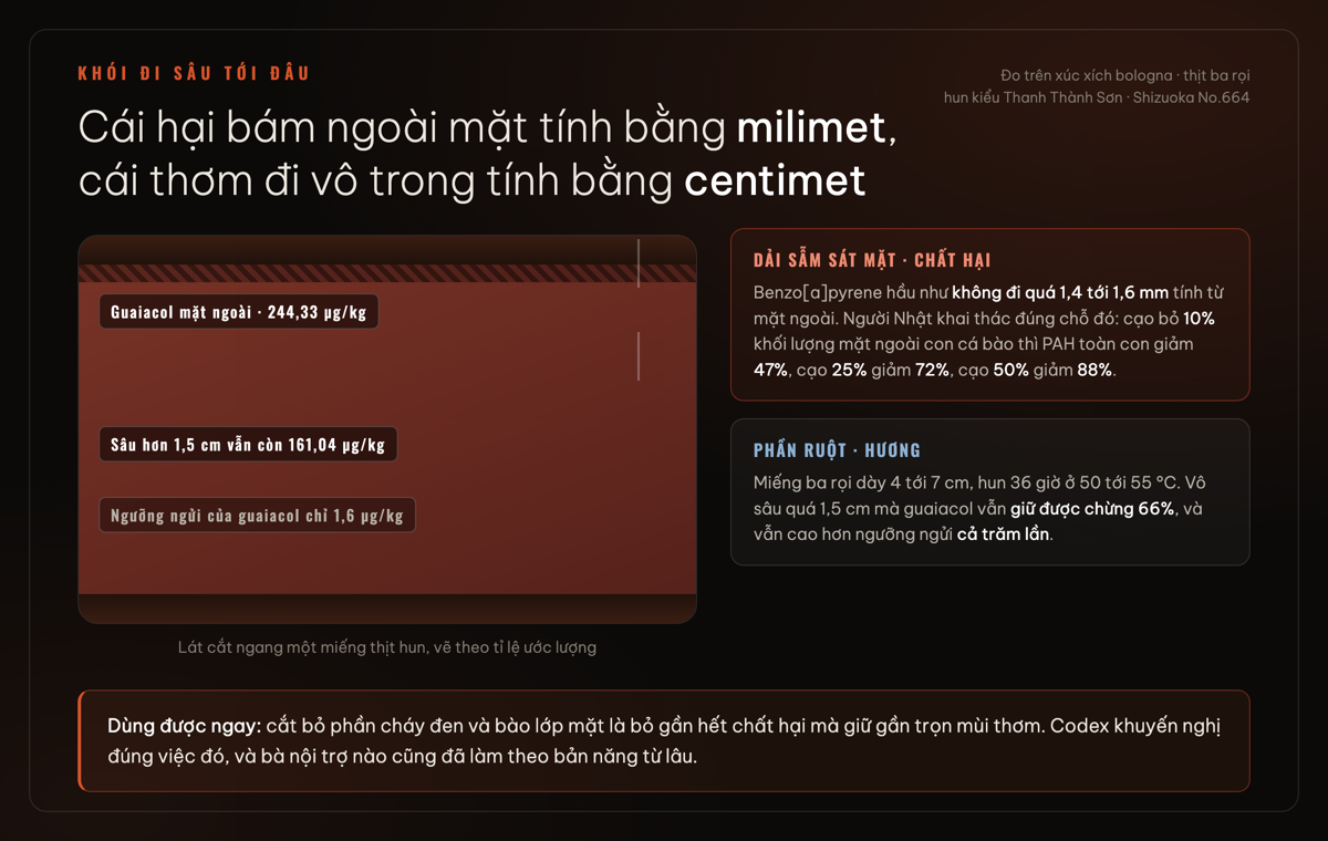 Lát cắt miếng thịt hun: chất hại đọng ngoài mặt còn hương ngấm vô trong