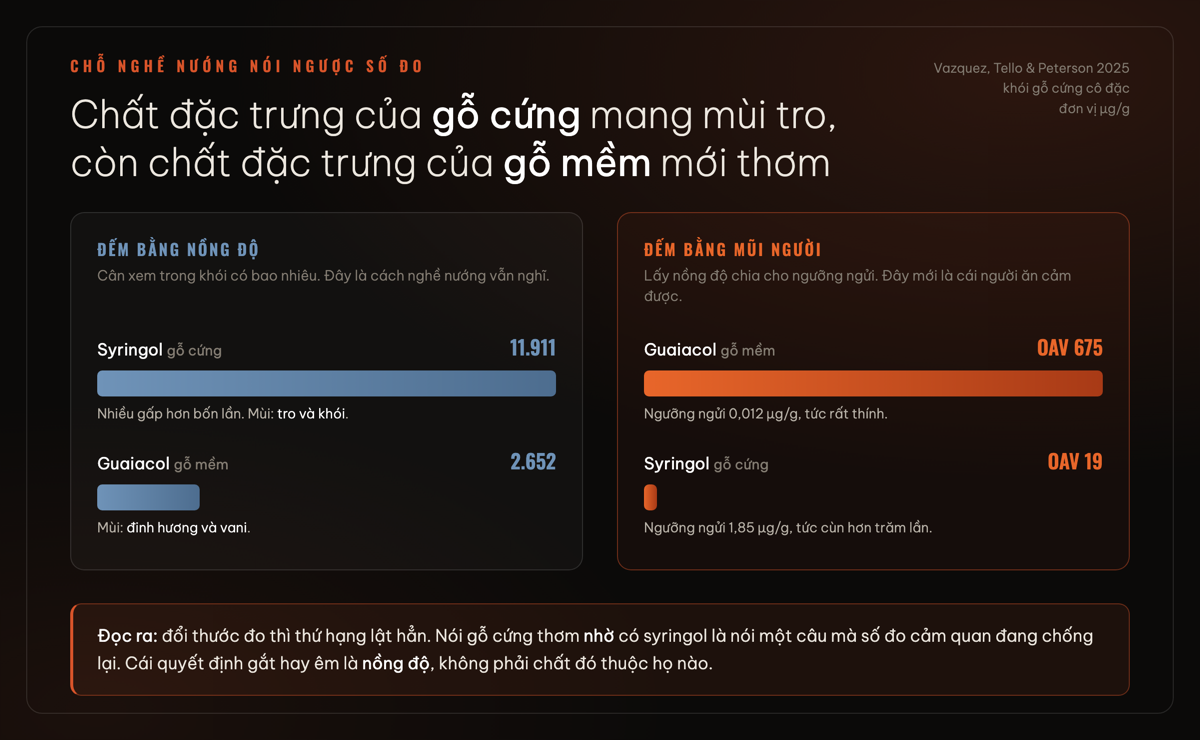 Syringol và guaiacol đảo thứ hạng khi đổi từ thang nồng độ sang thang hoạt tính mùi